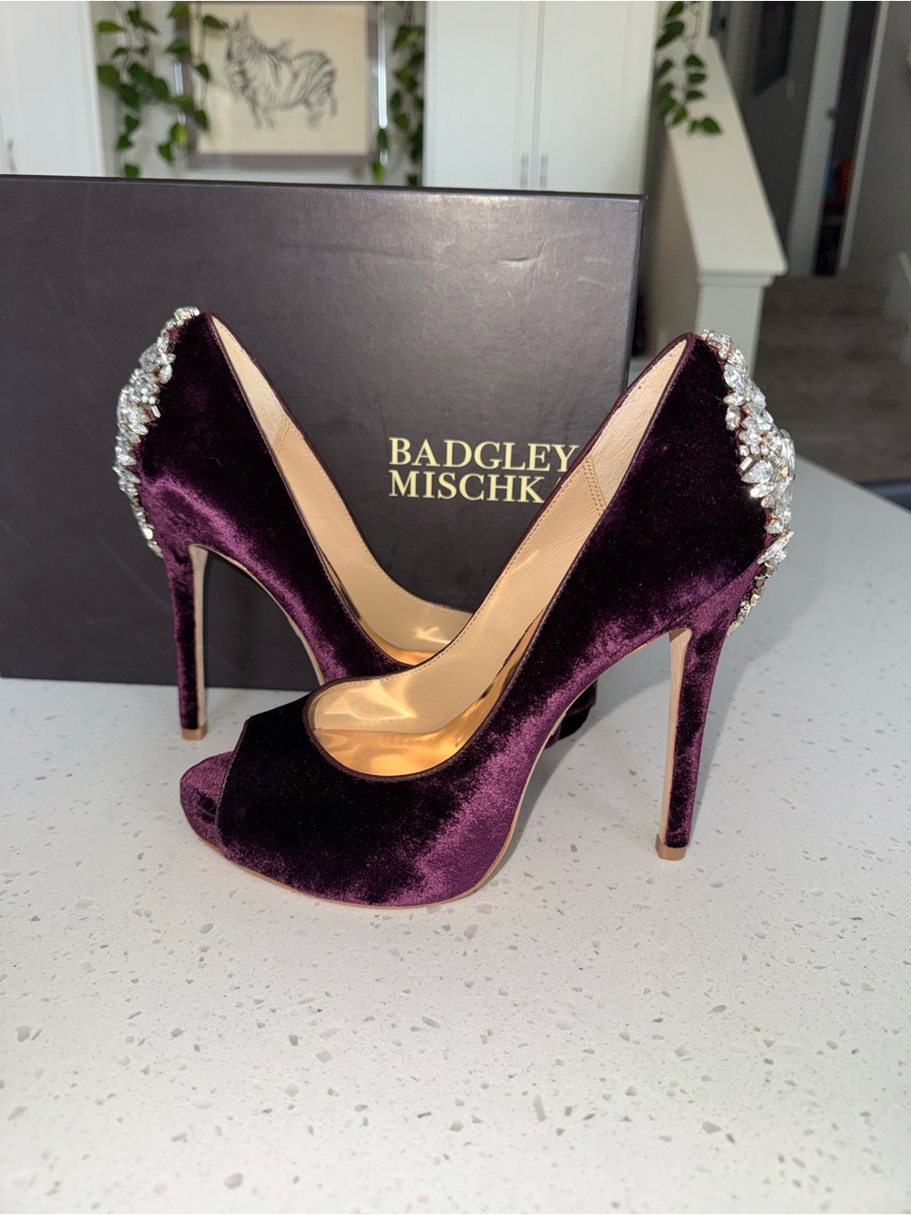 Badgley Mischka Velvet Peep-Toe Pumps in Plum with Crystal Heel Accent